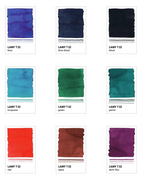 Lamy T52 Standard 50ml Bottled Ink